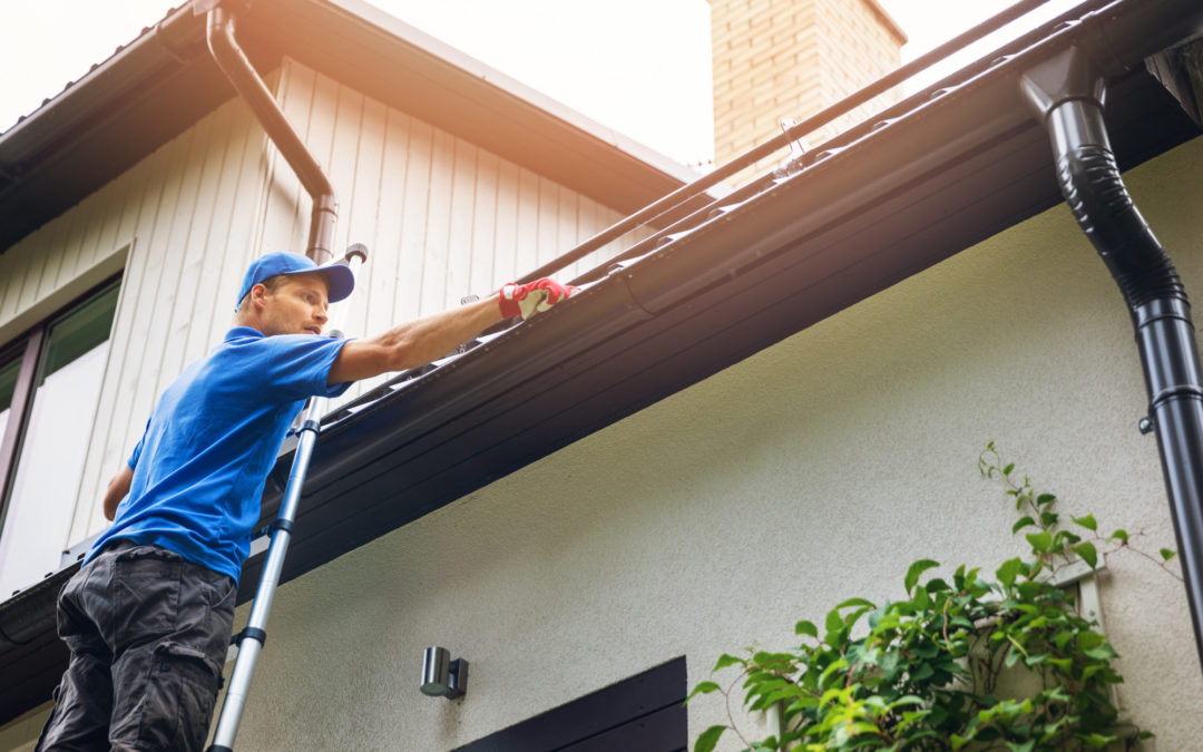 7 Essential Gutter Maintenance and Repair Tips