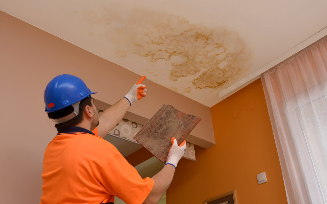 How to Tell If Your Roof Is Leaking: The Key Signs Explained