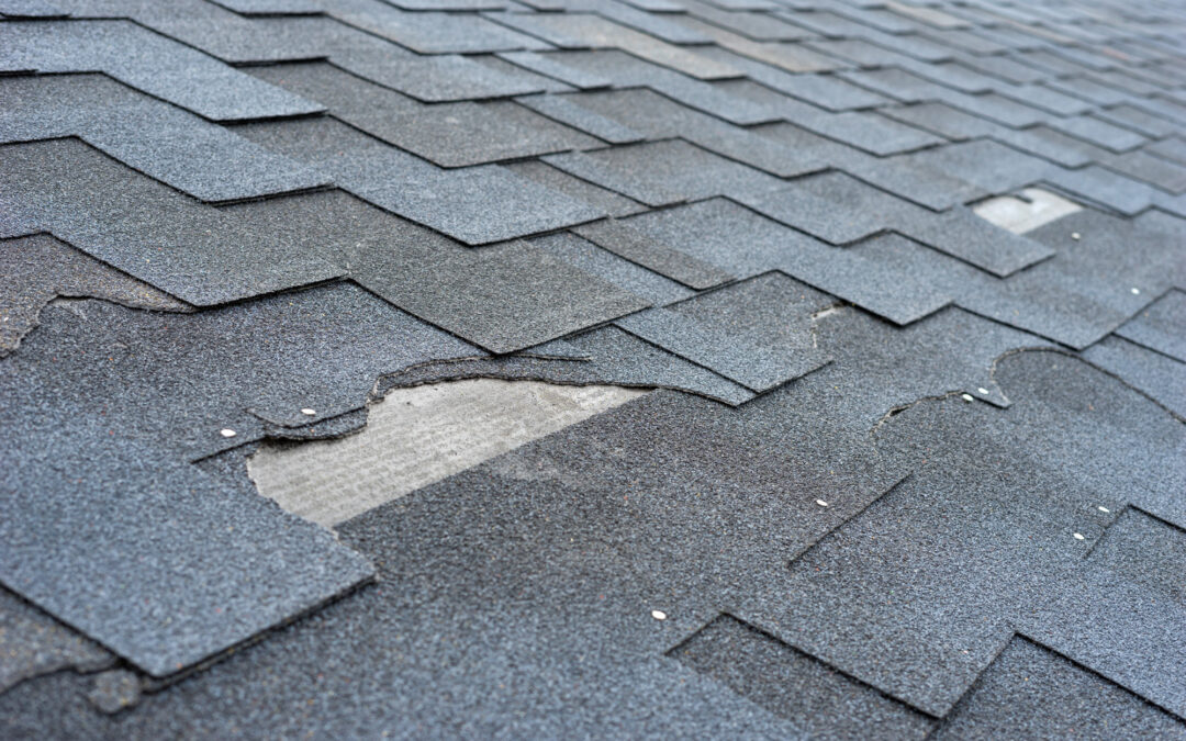 The Beginners Guide to Roofing Maintenance