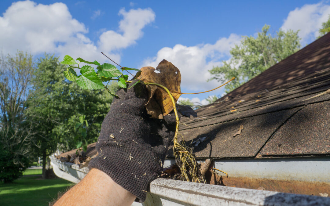 This Is the Importance of Gutter Cleaning