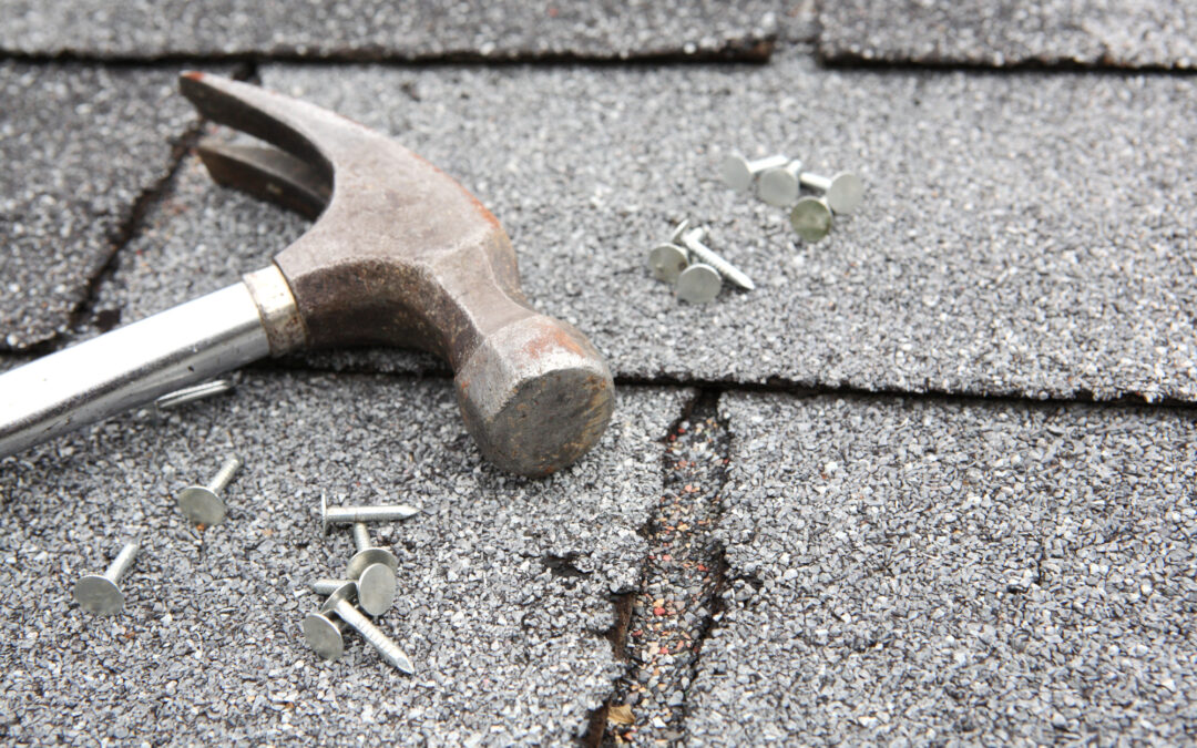 5 Things You Should Know About Roof Repairs