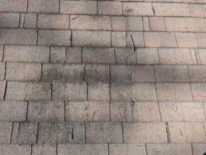 Damaged Roof